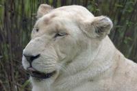 Cjp_2011_08_03_084147 (1).jpg